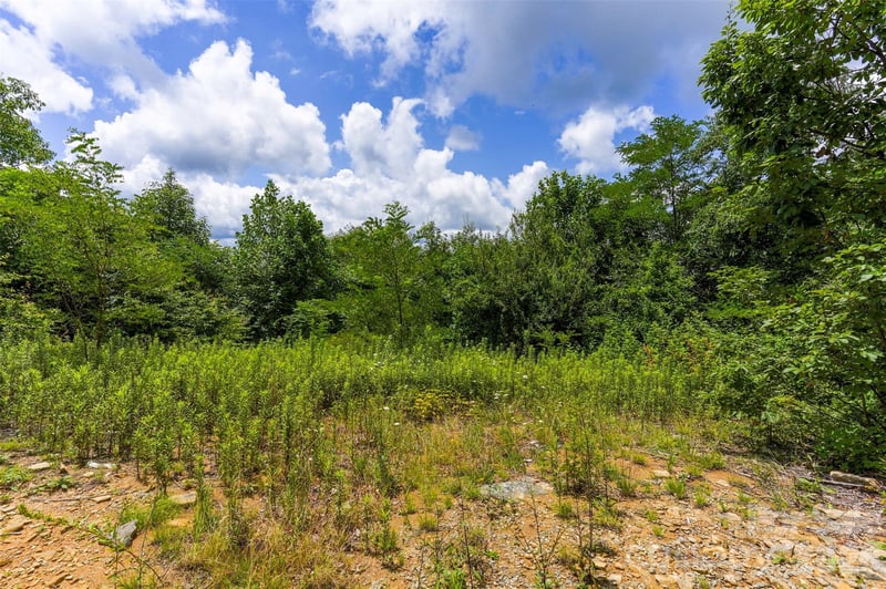 705 Pine Ridge Rd #59, Hendersonville, NC 28792