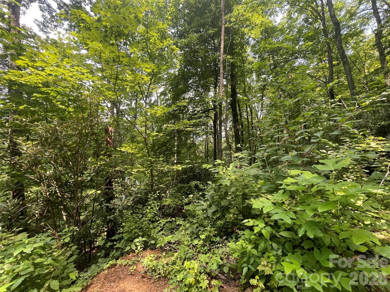 242 Floyd Rd, Waynesville, NC 28786