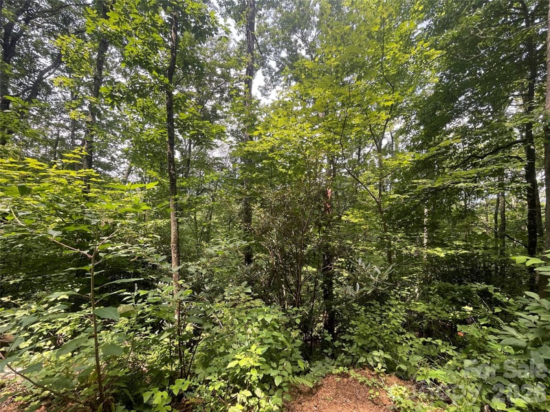 242 Floyd Rd, Waynesville, NC 28786