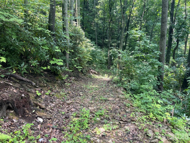 242 Floyd Rd, Waynesville, NC 28786