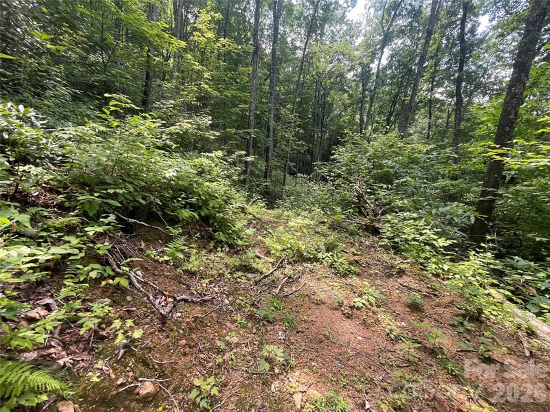 242 Floyd Rd, Waynesville, NC 28786