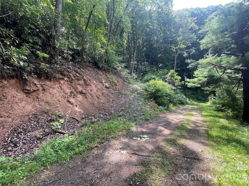 242 Floyd Rd, Waynesville, NC 28786