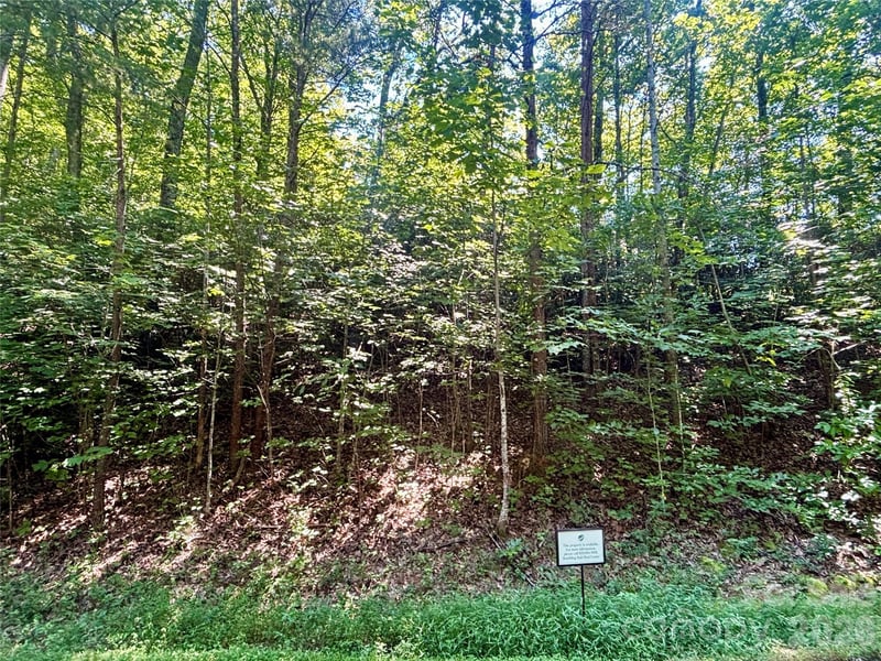 Lot 77 Winesap Blvd, Lake Lure, NC 28746