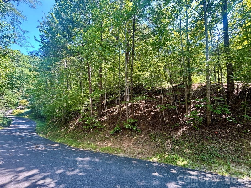 Lot 77 Winesap Blvd, Lake Lure, NC 28746