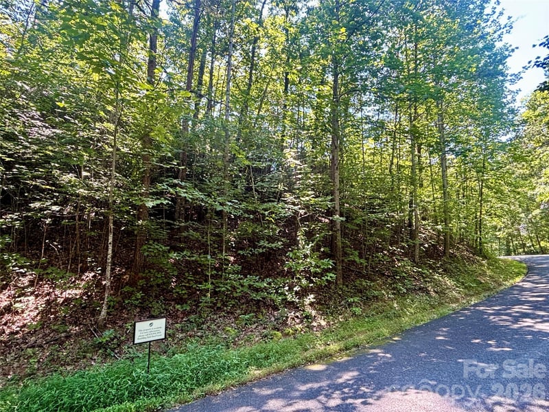 Lot 77 Winesap Blvd, Lake Lure, NC 28746