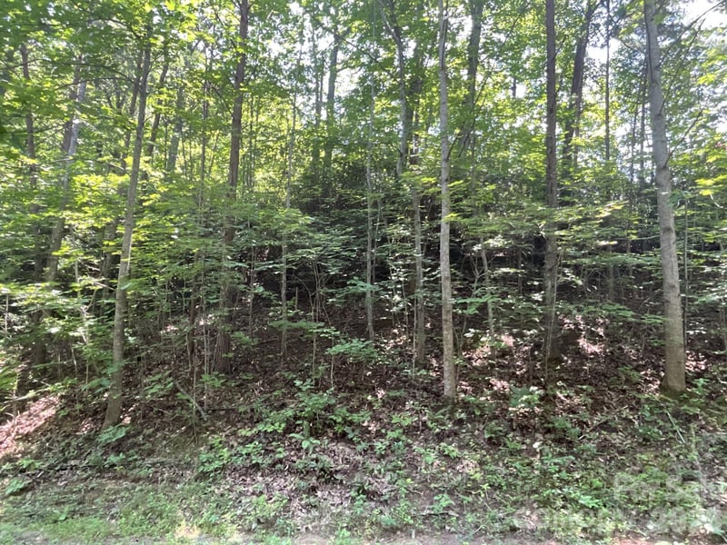 Lot 77 Winesap Blvd, Lake Lure, NC 28746