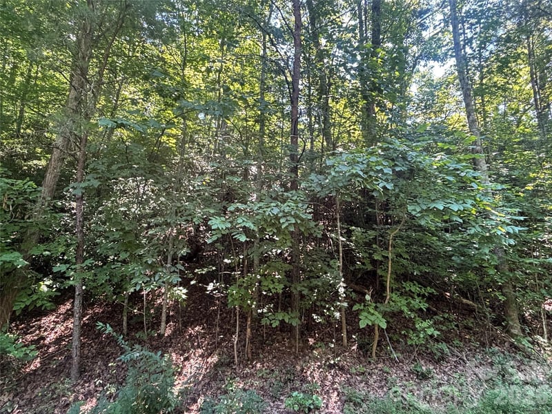 Lot 77 Winesap Blvd, Lake Lure, NC 28746