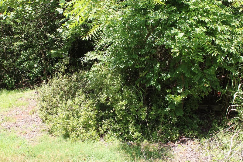3041 Bills Creek Rd, Lake Lure, NC 28746