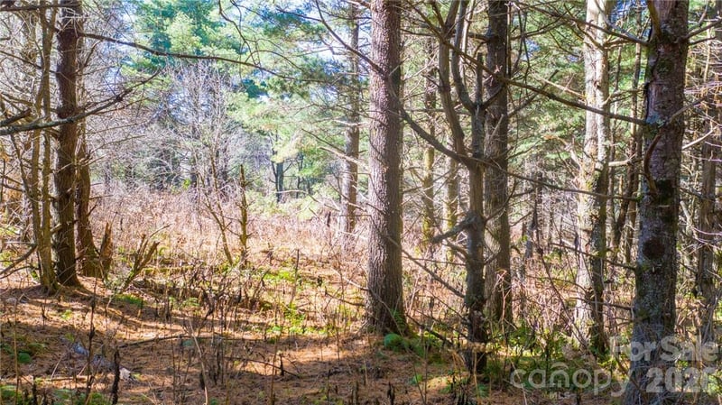 197 Eagle Bald Trl Lot 34, Burnsville, NC 28714