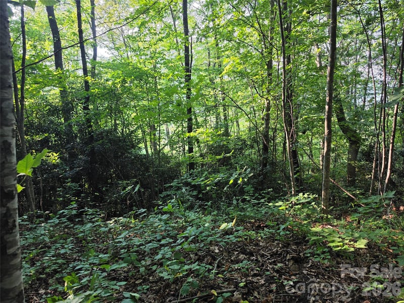 TBD Henry Dingus Way #26, Maggie Valley, NC 28751