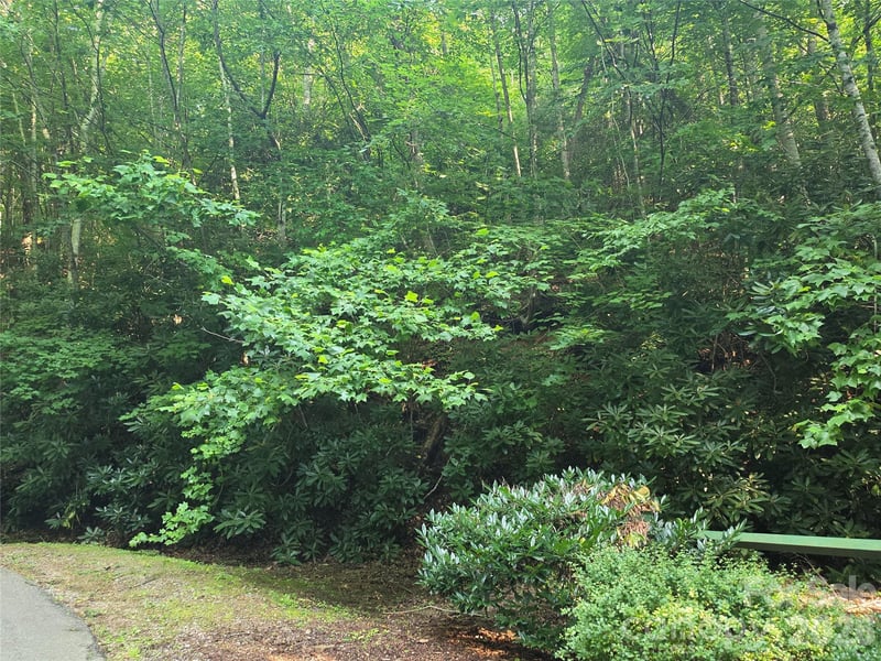TBD Henry Dingus Way #26, Maggie Valley, NC 28751