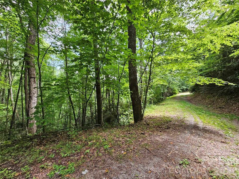 00 Autumn Dr #2, Waynesville, NC 28785