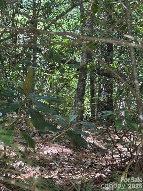 66 Boone Cove Rd, Zirconia, NC 28790