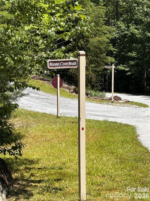 66 Boone Cove Rd, Zirconia, NC 28790