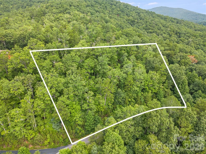 45 Lobdell Rd #45, Pisgah Forest, NC 28768
