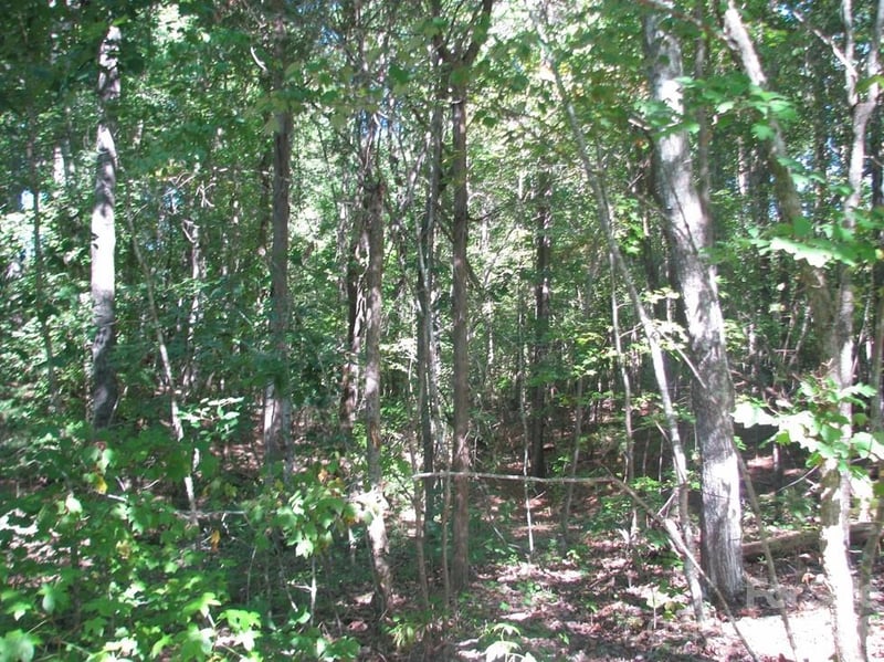 25 Ac Brandon Rd, Clover, SC 29710
