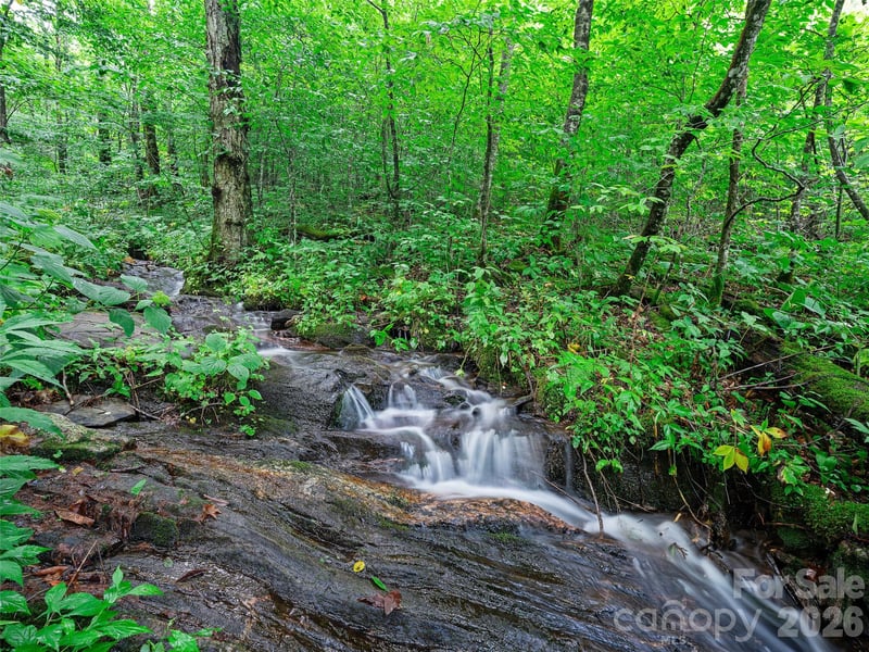 0 Ogle Meadows Rd #81, Burnsville, NC 28714