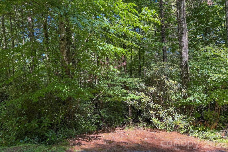 G24 Bailey Ln #G24, Sapphire, NC 28774