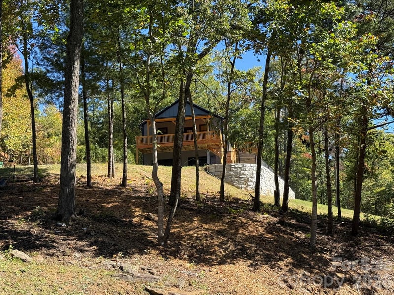 9 Nellie Bell Ln, Swannanoa, NC 28778