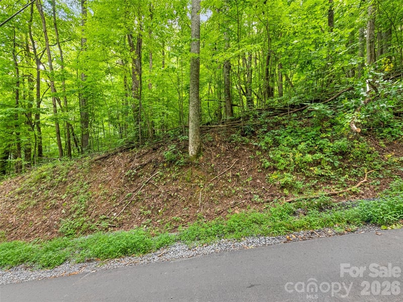 00 Dogwood Trl #21&22, Waynesville, NC 28786