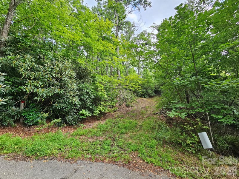 98 Down To Earth Dr #98, Burnsville, NC 28714