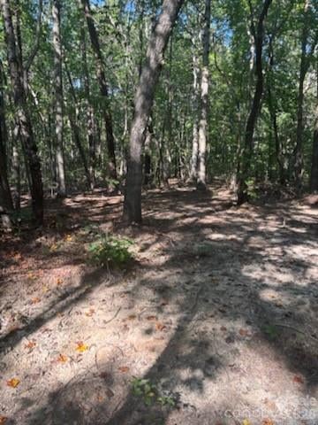 TBD Bud Arndt Rd, Maiden, NC 28650