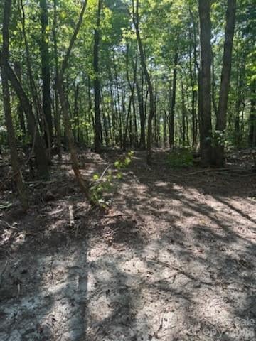 TBD Bud Arndt Rd, Maiden, NC 28650