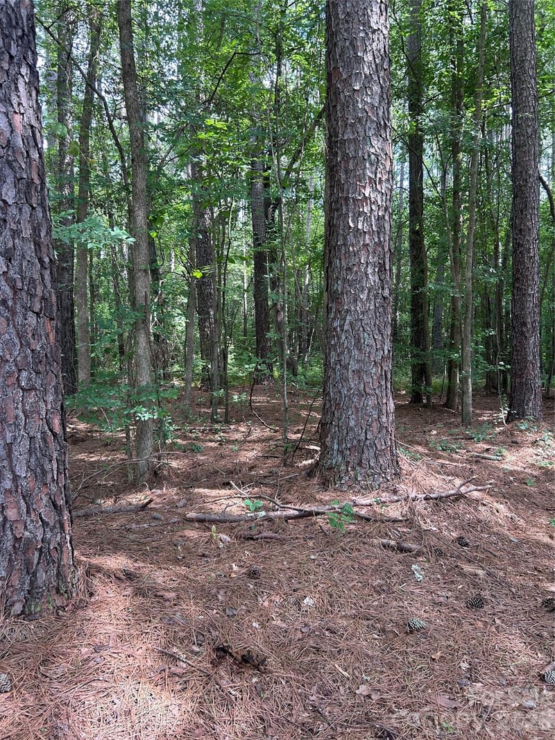 234 W Glenview Dr, Salisbury, NC 28147
