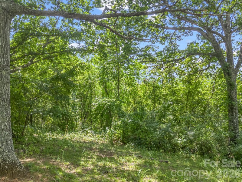61 Sugar Maple Dr, Black Mountain, NC 28711