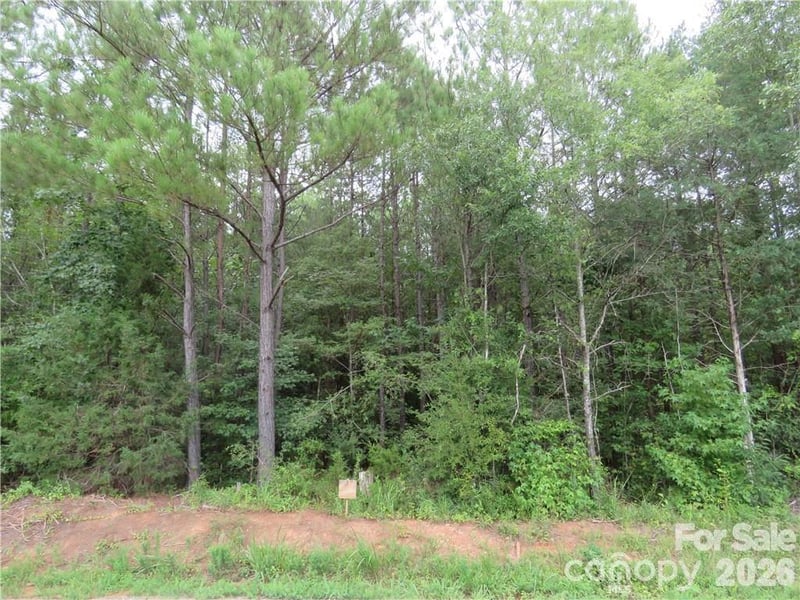 TBD Agnes Douglas Rd, Indian Land, SC 29707