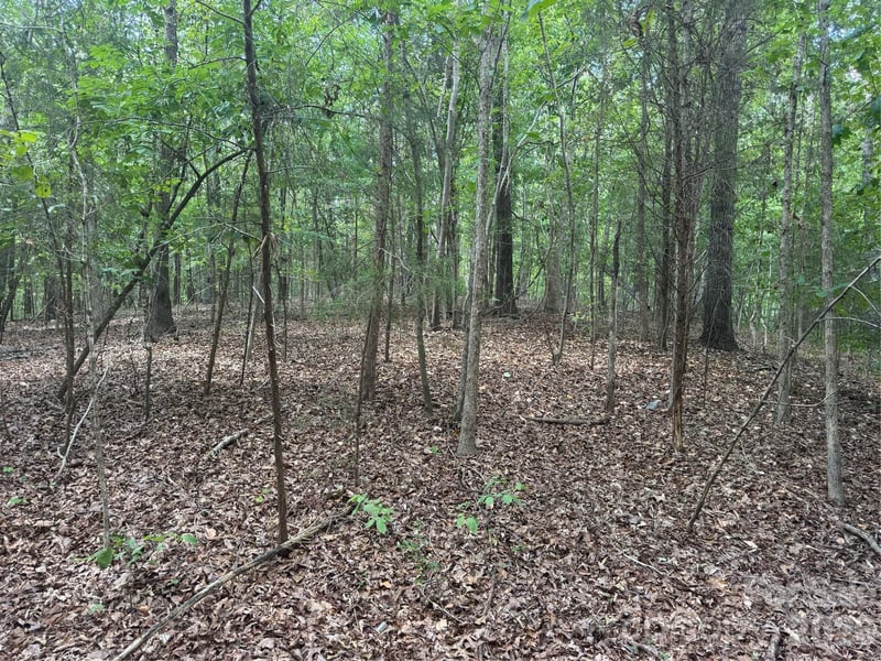 7.5 Acres Old Camden Monroe Hw, Lancaster, SC 29720