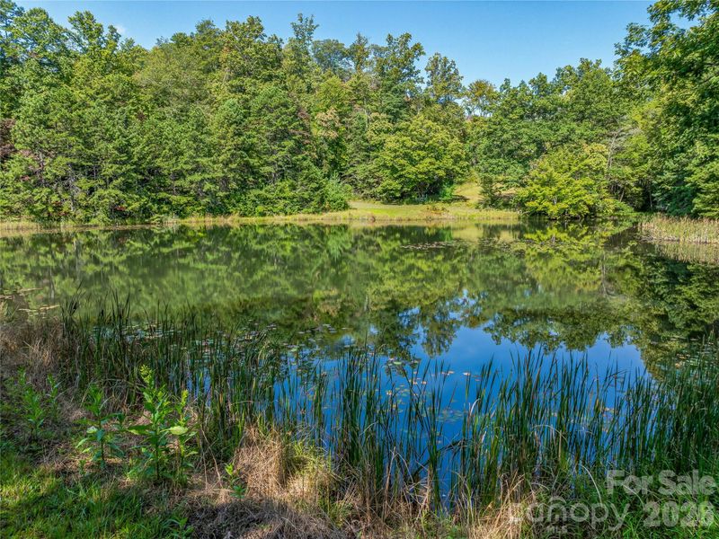 567 Davey Branch Rd, Horse Shoe, NC 28742