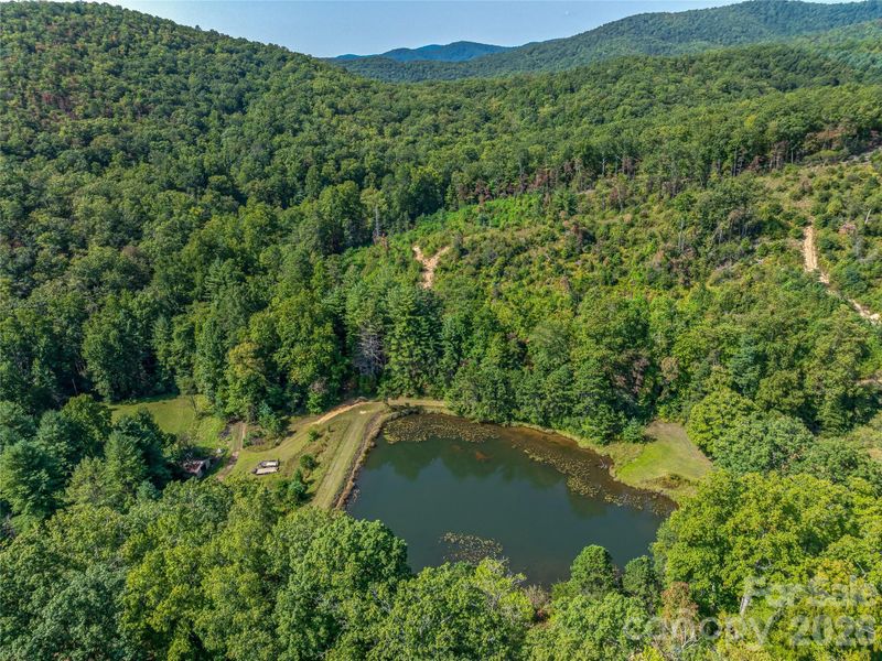567 Davey Branch Rd, Horse Shoe, NC 28742