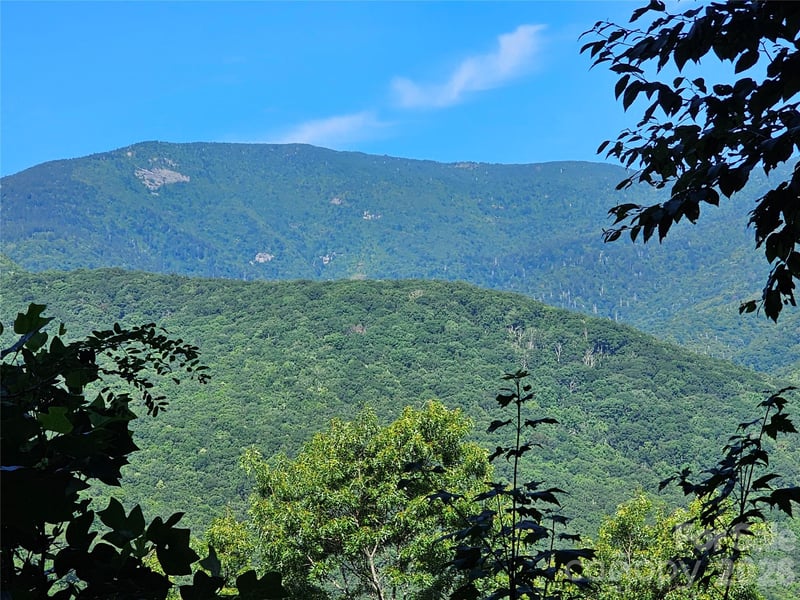 109 Big Ridge Rd #109, Burnsville, NC 28714