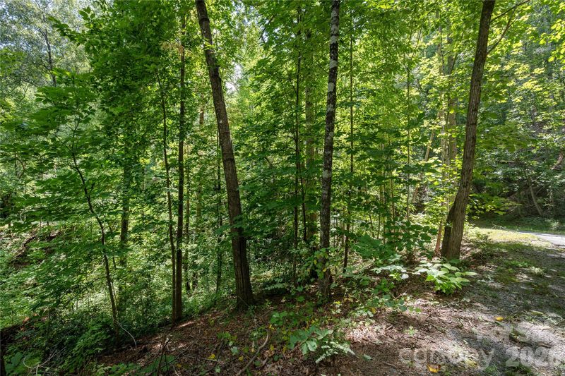 0 Weaver Ln, Lake Lure, NC 28746