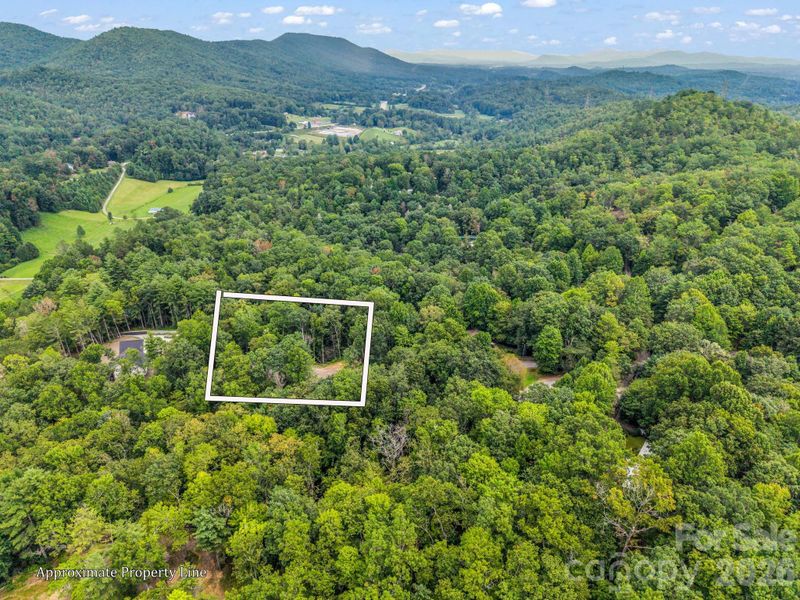 175 Silver Bullet Way, Pisgah Forest, NC 28768