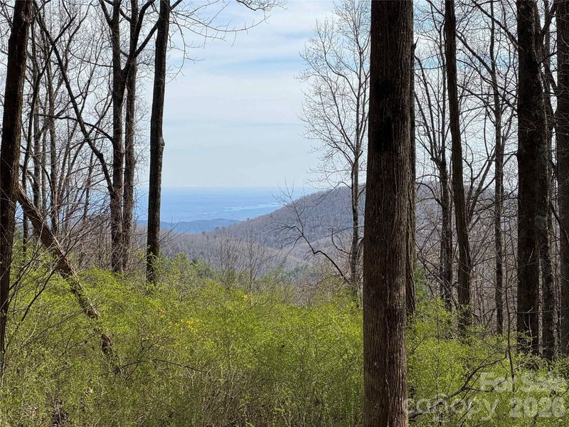 L8 Black Bear Ct, Sapphire, NC 28774