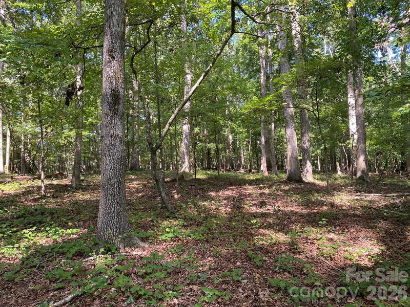 3317 Rilla Hamilton Rd, Monroe, NC 28110