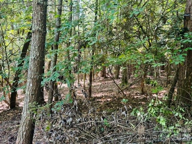 475 Old Little Mountain Rd, Pisgah Forest, NC 28768