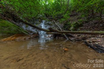 1405 North Haven Dr, Black Mountain, NC 28711