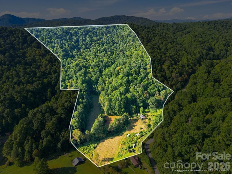 1487 Poplar Gap Rd, Hot Springs, NC 28754