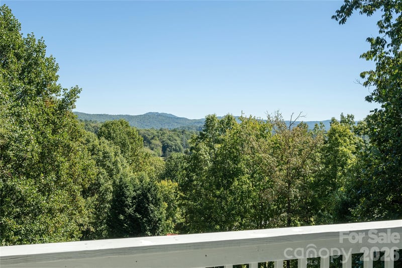219 Greens View Dr, Horse Shoe, NC 28742