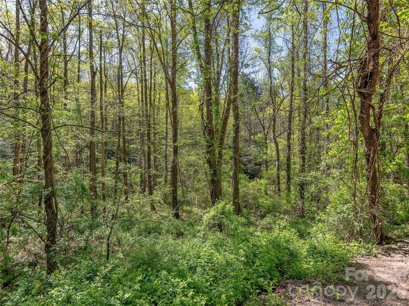 99999 Bob Barnwell Rd, Asheville, NC 28803