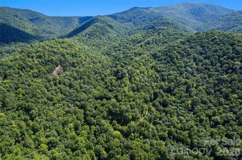OFF Little East Fork Rd #L-1, Canton, NC 28716