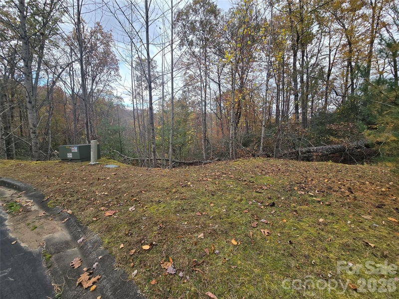 0 Shining Rock Pa #17R, Mills River, NC 28742