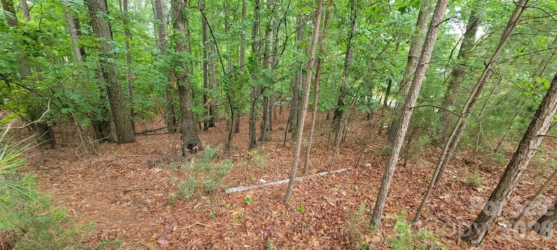 4000 Beechwood Spring Ln, Belmont, NC 28012