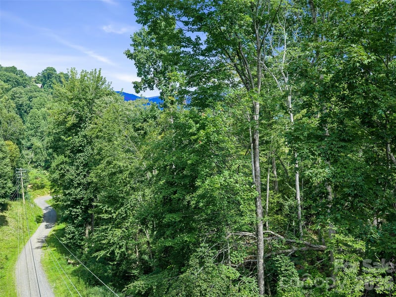 000 Winterberry Rd #25, Burnsville, NC 28714