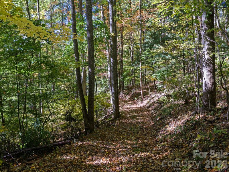 99999 Lynn Cove Rd, Asheville, NC 28804