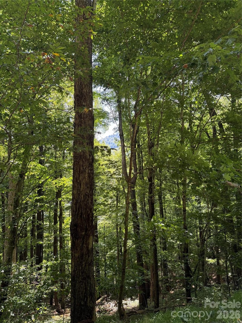 00 Chestnut Village Ln, Mars Hill, NC 28754