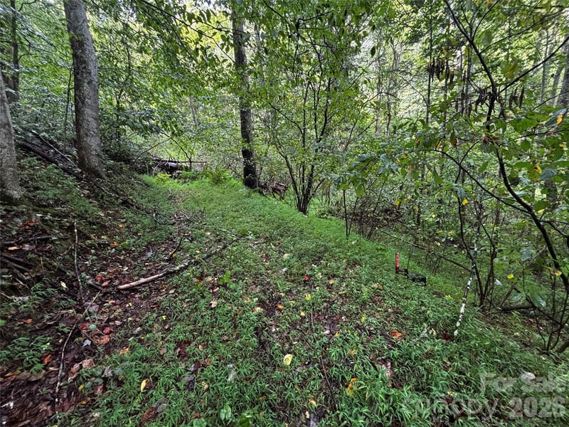TBD Big Pine Rd, Marshall, NC 28753